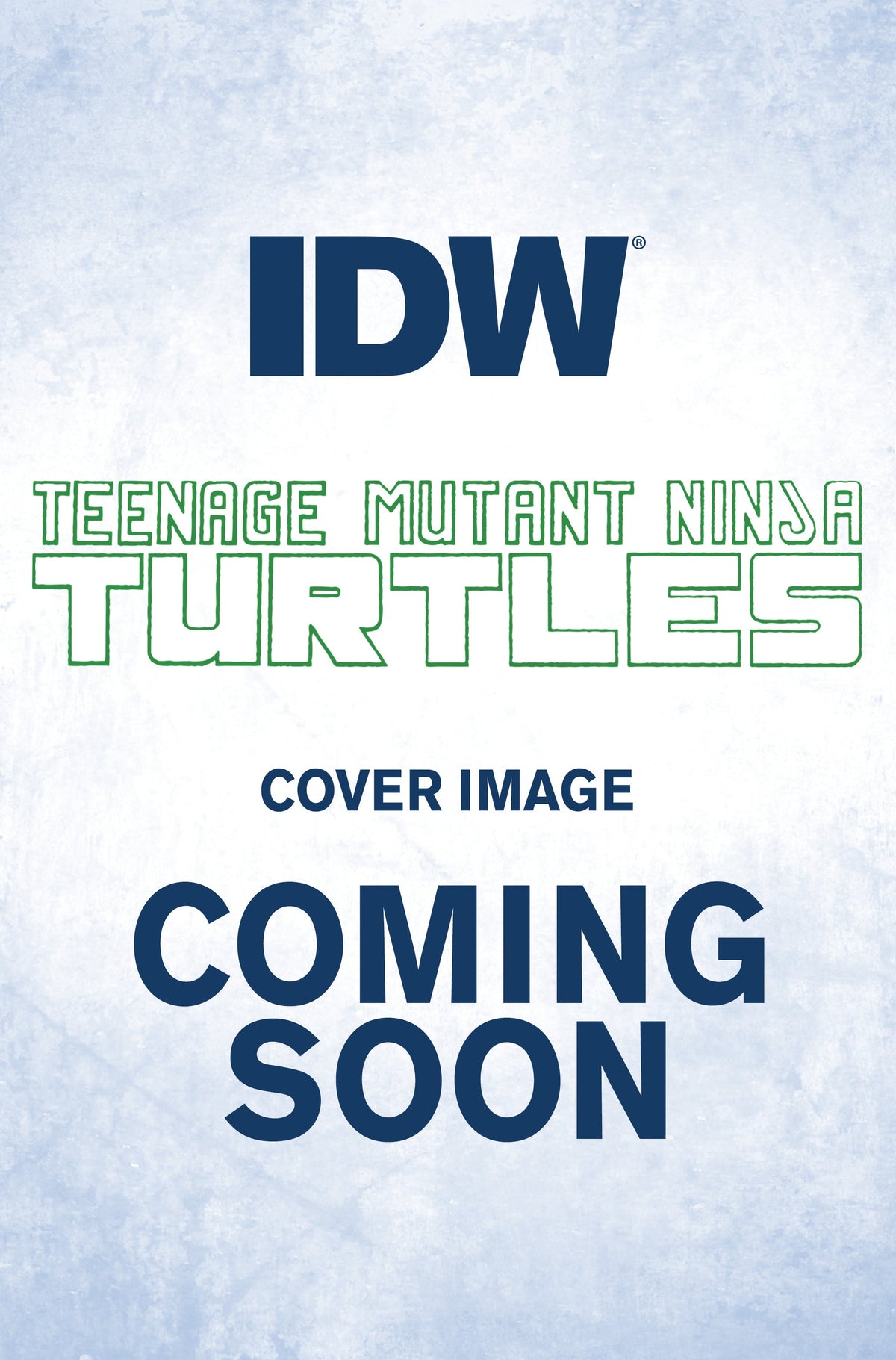 Teenage Mutant Ninja Turtles TMNT Vs Street Fighter #2 (Of 5) D 1:25 Vincenzo Federici Variant (07/19/2023) Idw