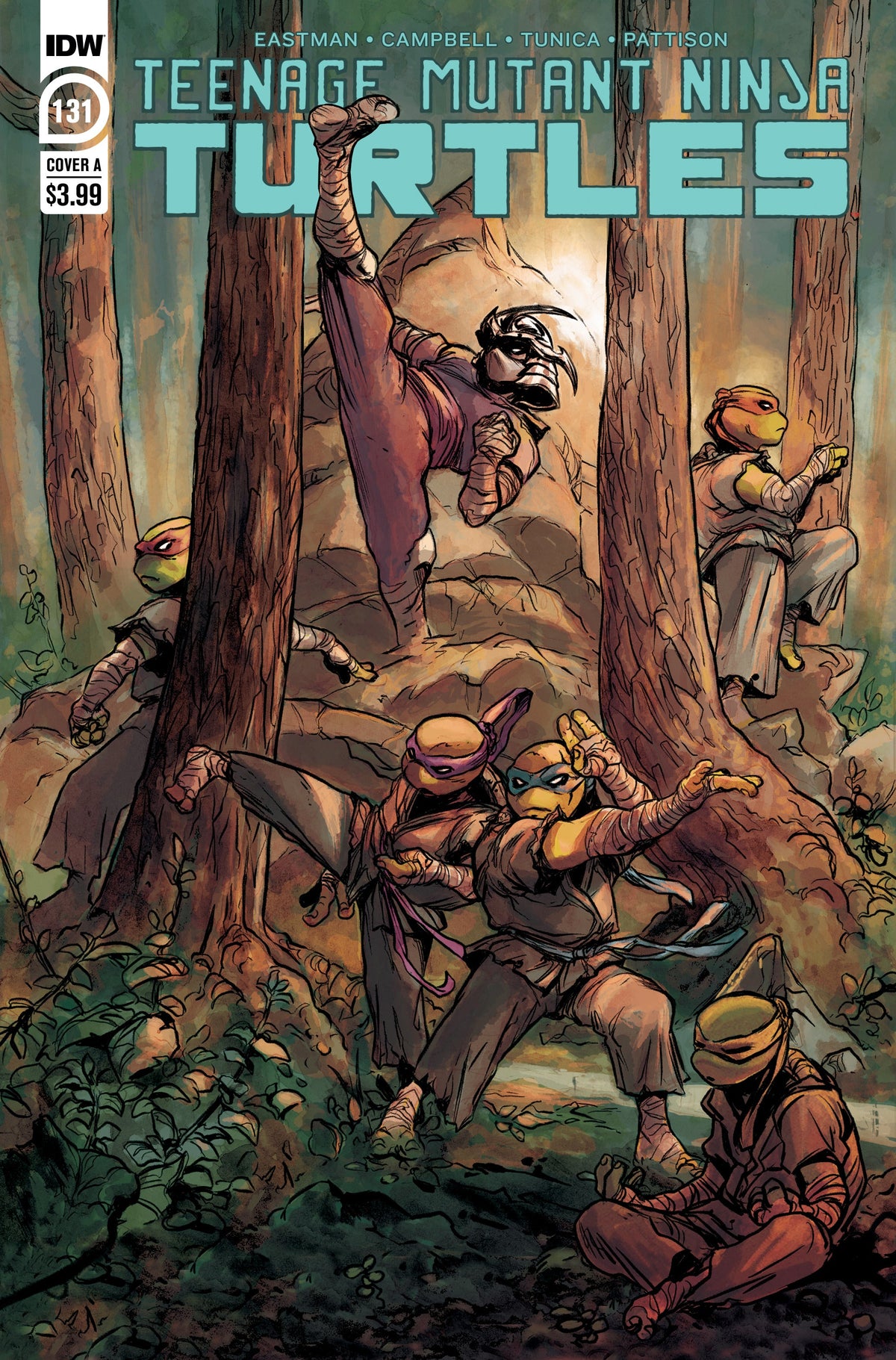 Tmnt Ongoing #131 A Pablo Tunica Teenage Mutant Ninja Turtles (C: 1-0-0) (07/20/2022) Idw