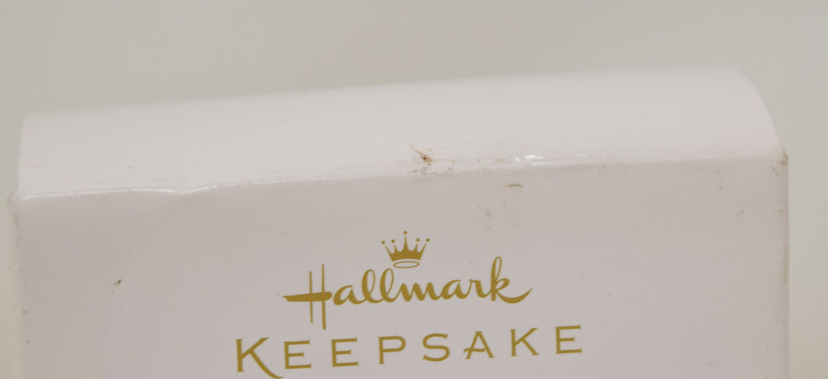 Hallmark Keepsake Ornament Packed For Fun Travel Bag Christmas Tree 2009 NIB