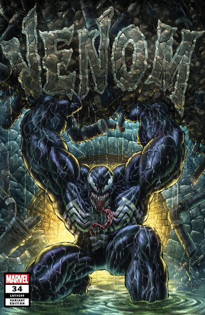 Venom #34 — Alan Quah Amazing Spider-Man #33 Homage Variant