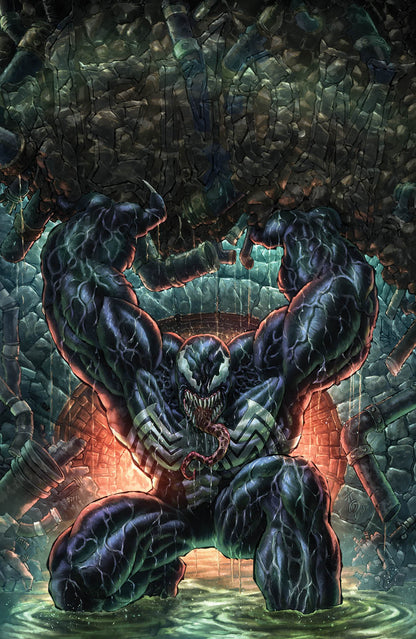 Venom #34 — Alan Quah Amazing Spider-Man #33 Homage Variant